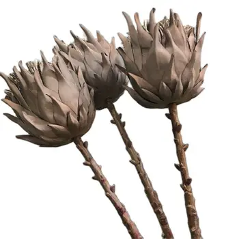 Една Изкуствена Protea Cynaroides Изкуствена 3D Печат Ефект на Маслената Живопис Цвете Protea за Домашно Сватбеното Тържество Украса Украса