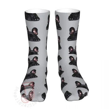 Компресия Дамски Чорапи Fren Bulldog Black Puppy Dog 2022 Мъжки Сладки Спортни Чорапи